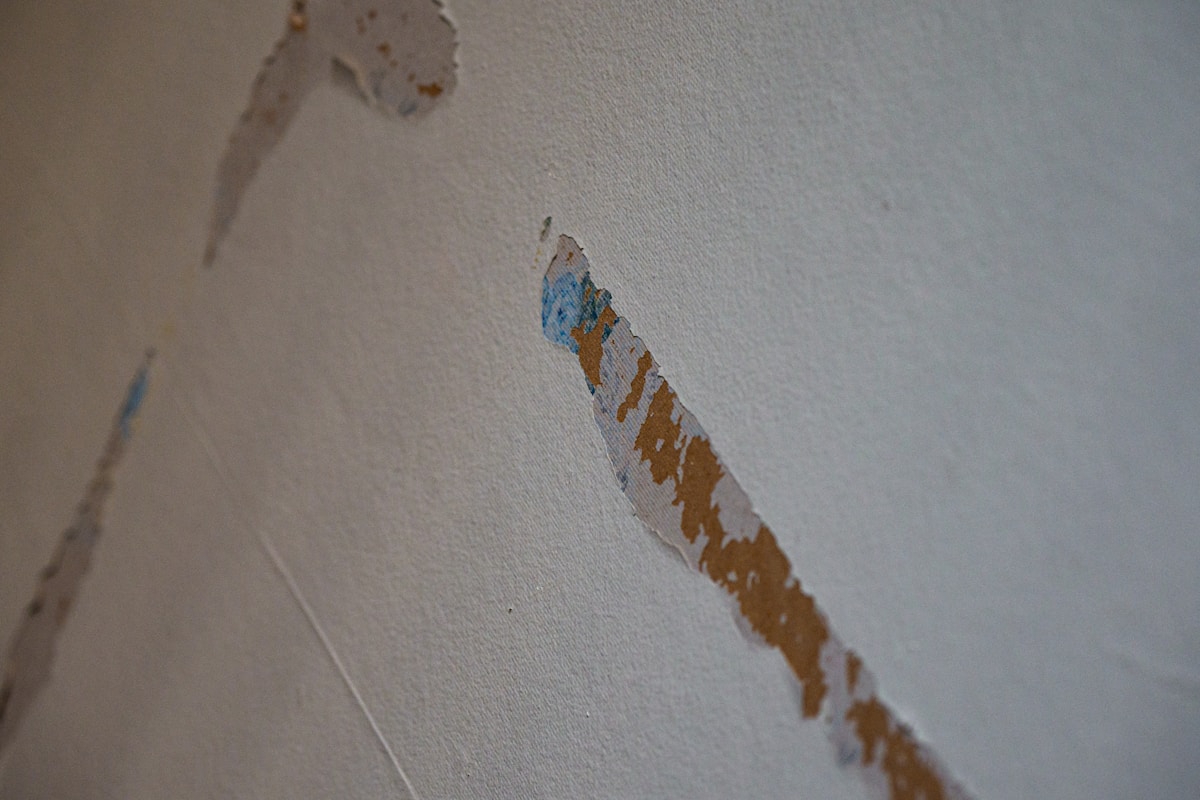 Flood Cleanup service in Pocatello, ID